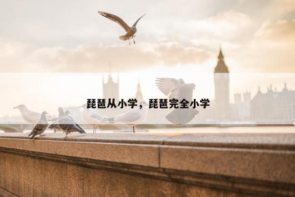 琵琶从小学，琵琶完全小学