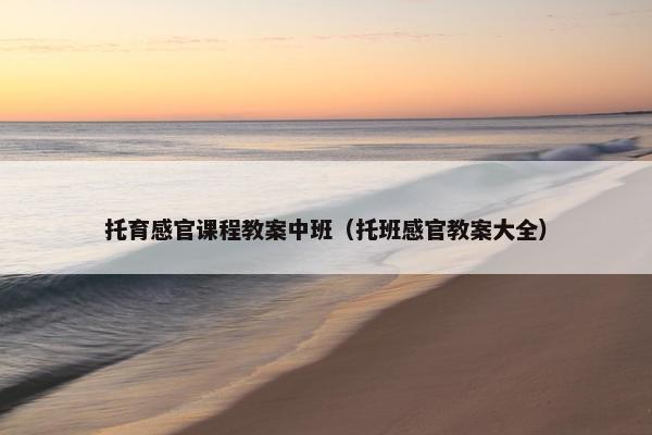 托育感官课程教案中班（托班感官教案大全）