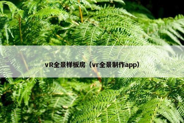 vR全景样板房（vr全景制作app）