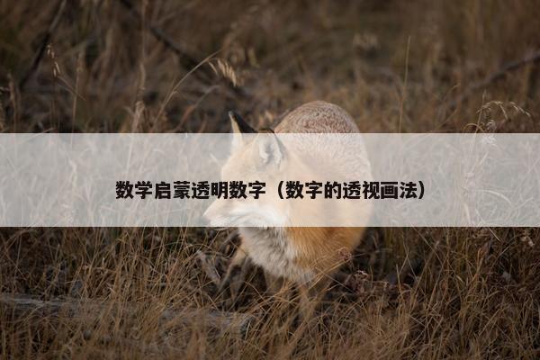 数学启蒙透明数字（数字的透视画法）