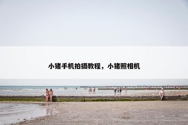 小猪手机拍摄教程，小猪照相机