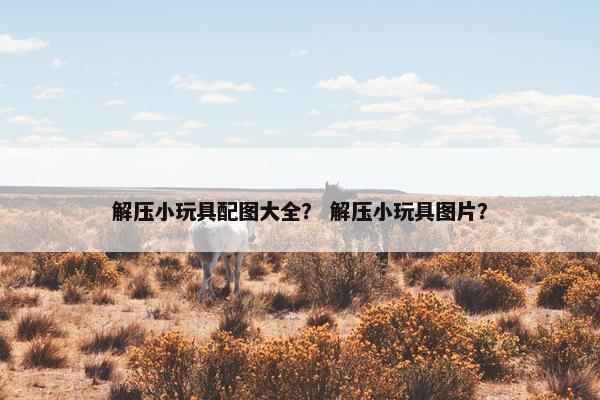 解压小玩具配图大全？ 解压小玩具图片？