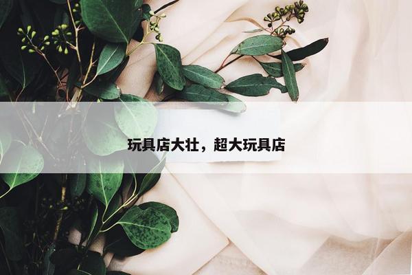 玩具店大壮，超大玩具店