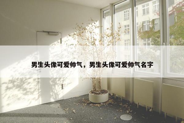 男生头像可爱帅气，男生头像可爱帅气名字
