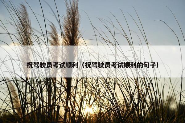 祝驾驶员考试顺利（祝驾驶员考试顺利的句子）