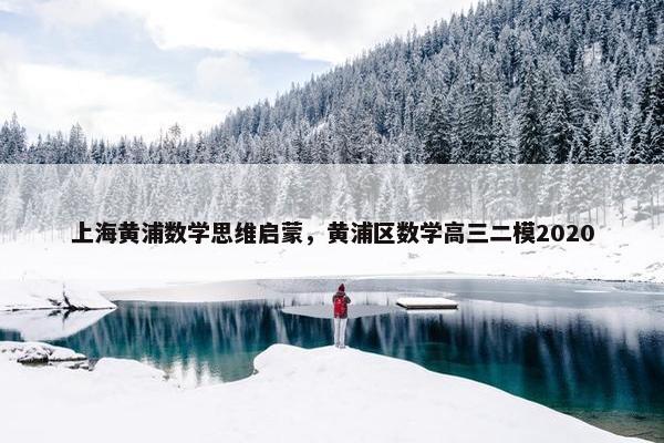 上海黄浦数学思维启蒙，黄浦区数学高三二模2020