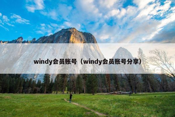 windy会员账号（windy会员账号分享）