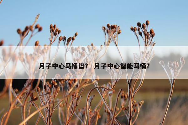 月子中心马桶垫？ 月子中心智能马桶？