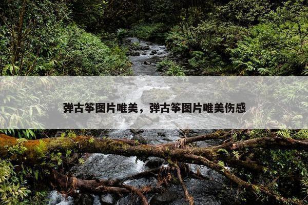 弹古筝图片唯美，弹古筝图片唯美伤感