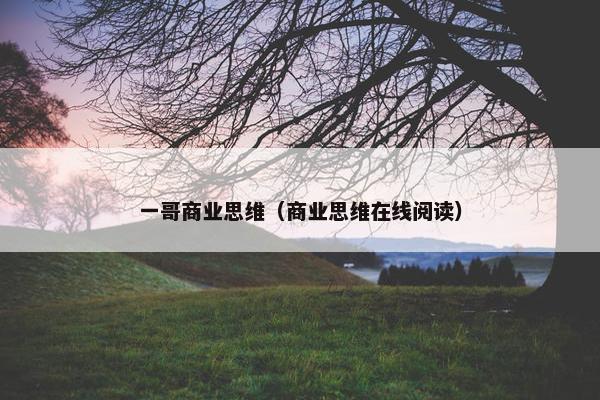 一哥商业思维（商业思维在线阅读）