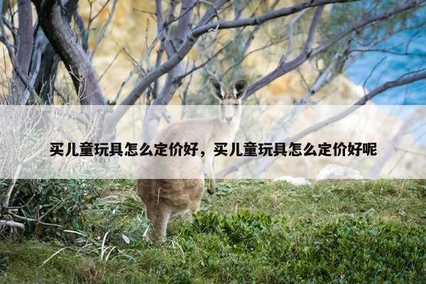 买儿童玩具怎么定价好，买儿童玩具怎么定价好呢