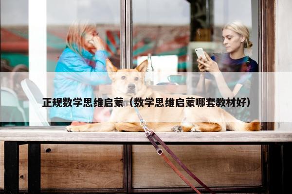 正规数学思维启蒙（数学思维启蒙哪套教材好）
