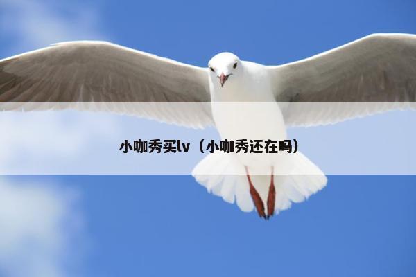 小咖秀买lv（小咖秀还在吗）
