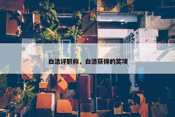 白洁评职称，白洁获得的奖项