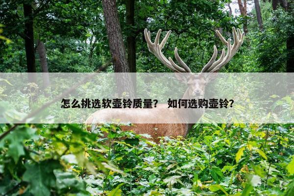 怎么挑选软壶铃质量？ 如何选购壶铃？