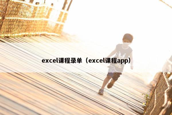 excel课程录单（excel课程app）