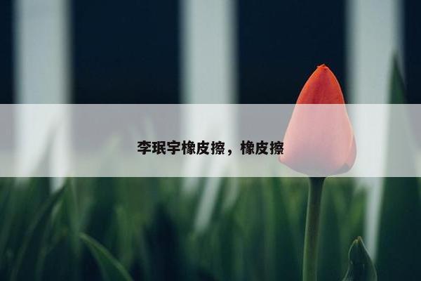 李珉宇橡皮擦，橡皮擦