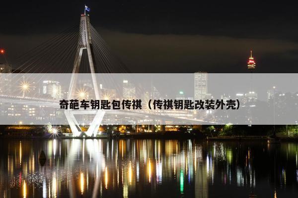 奇葩车钥匙包传祺（传祺钥匙改装外壳）