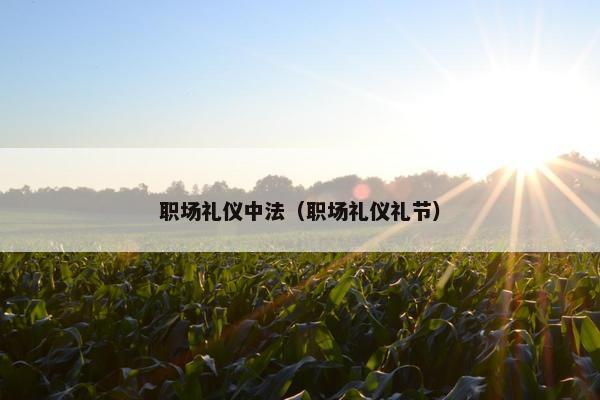 职场礼仪中法（职场礼仪礼节）