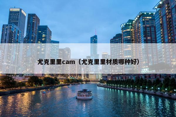 尤克里里cam（尤克里里材质哪种好）