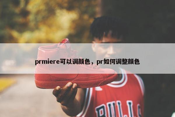 prmiere可以调颜色，pr如何调整颜色
