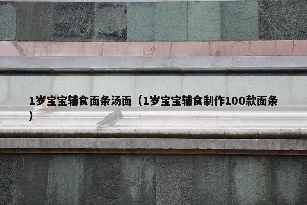1岁宝宝辅食面条汤面（1岁宝宝辅食制作100款面条）
