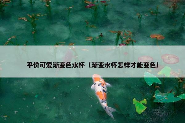 平价可爱渐变色水杯（渐变水杯怎样才能变色）