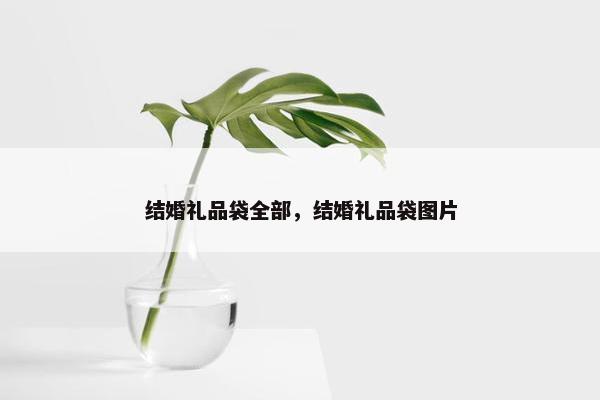 结婚礼品袋全部，结婚礼品袋图片