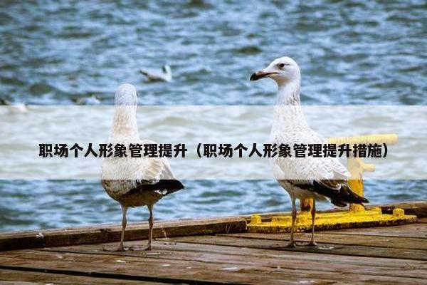 职场个人形象管理提升（职场个人形象管理提升措施）