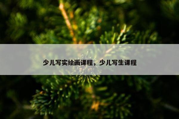少儿写实绘画课程，少儿写生课程