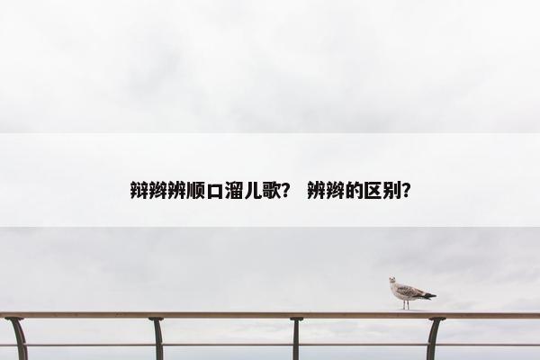 辩辫辨顺口溜儿歌？ 辨辫的区别？