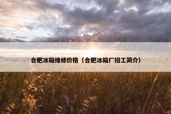 合肥冰箱维修价格（合肥冰箱厂招工简介）