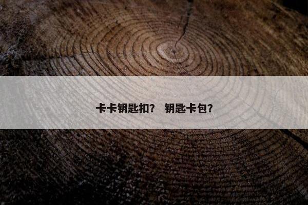 卡卡钥匙扣？ 钥匙卡包？
