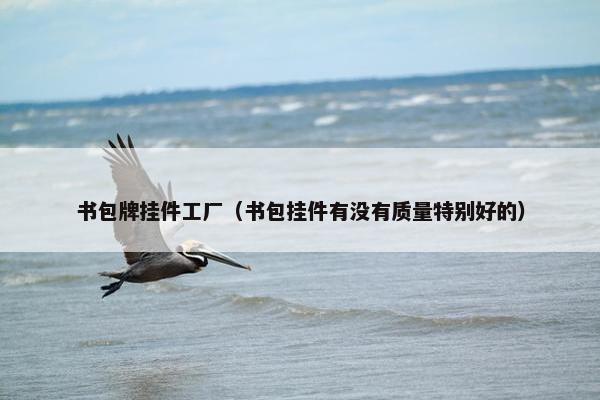 书包牌挂件工厂（书包挂件有没有质量特别好的）