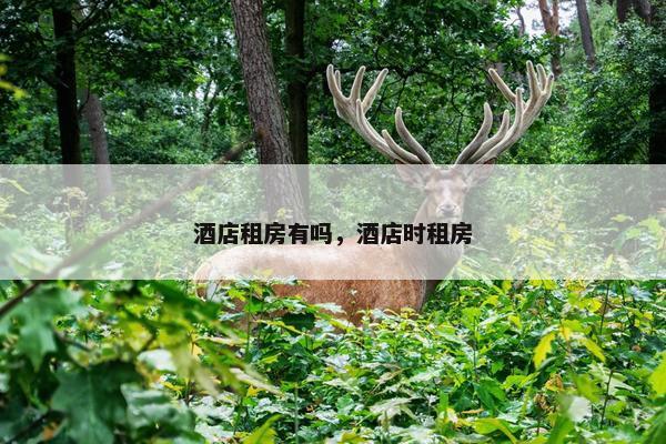 酒店租房有吗，酒店时租房