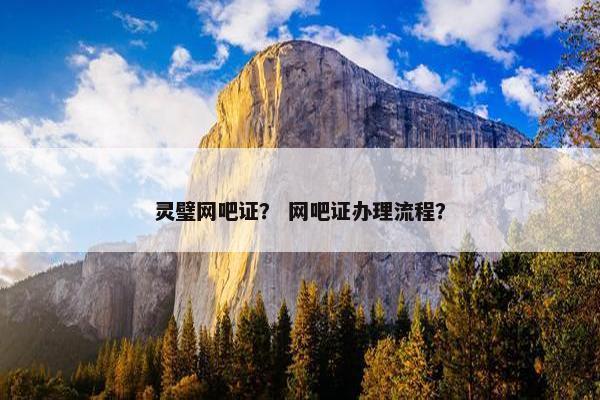 灵璧网吧证？ 网吧证办理流程？