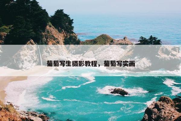 葡萄写生摄影教程，葡萄写实画