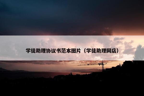 学徒助理协议书范本图片（学徒助理网店）
