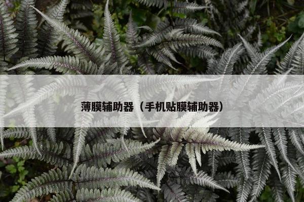 薄膜辅助器（手机贴膜辅助器）