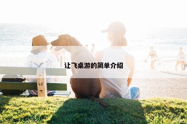 让飞桌游的简单介绍