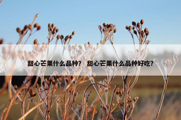 甜心芒果什么品种？ 甜心芒果什么品种好吃？