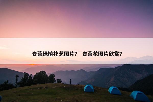 青苔绿植花艺图片？ 青苔花图片欣赏？