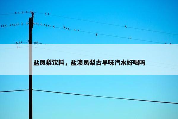 盐凤梨饮料，盐渍凤梨古早味汽水好喝吗