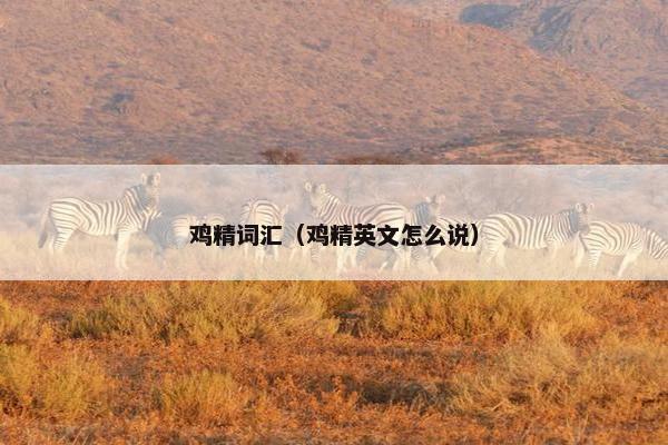 鸡精词汇（鸡精英文怎么说）