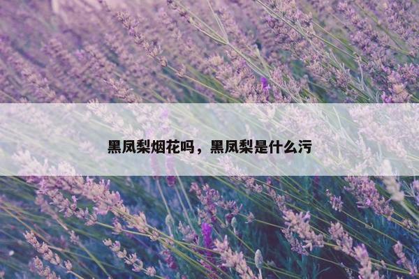 黑凤梨烟花吗，黑凤梨是什么污