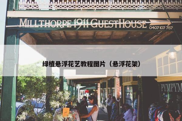 绿植悬浮花艺教程图片（悬浮花架）