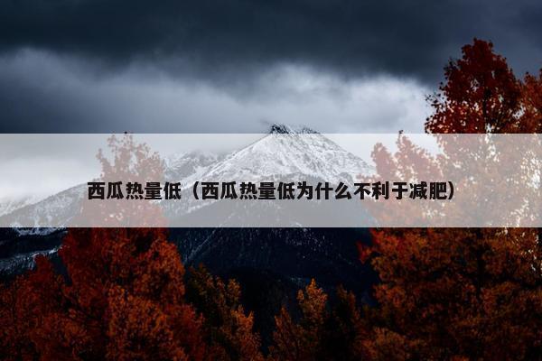 西瓜热量低（西瓜热量低为什么不利于减肥）