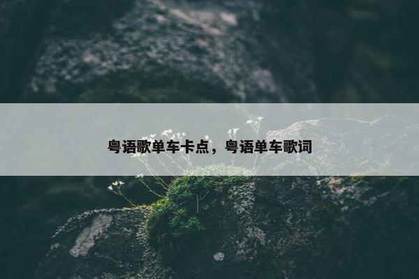 粤语歌单车卡点，粤语单车歌词