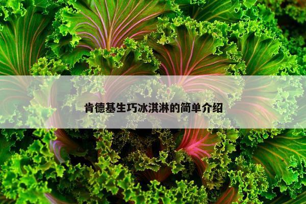 肯德基生巧冰淇淋的简单介绍