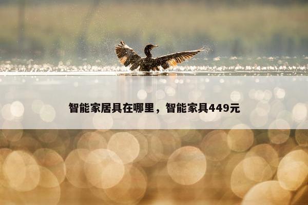智能家居具在哪里，智能家具449元